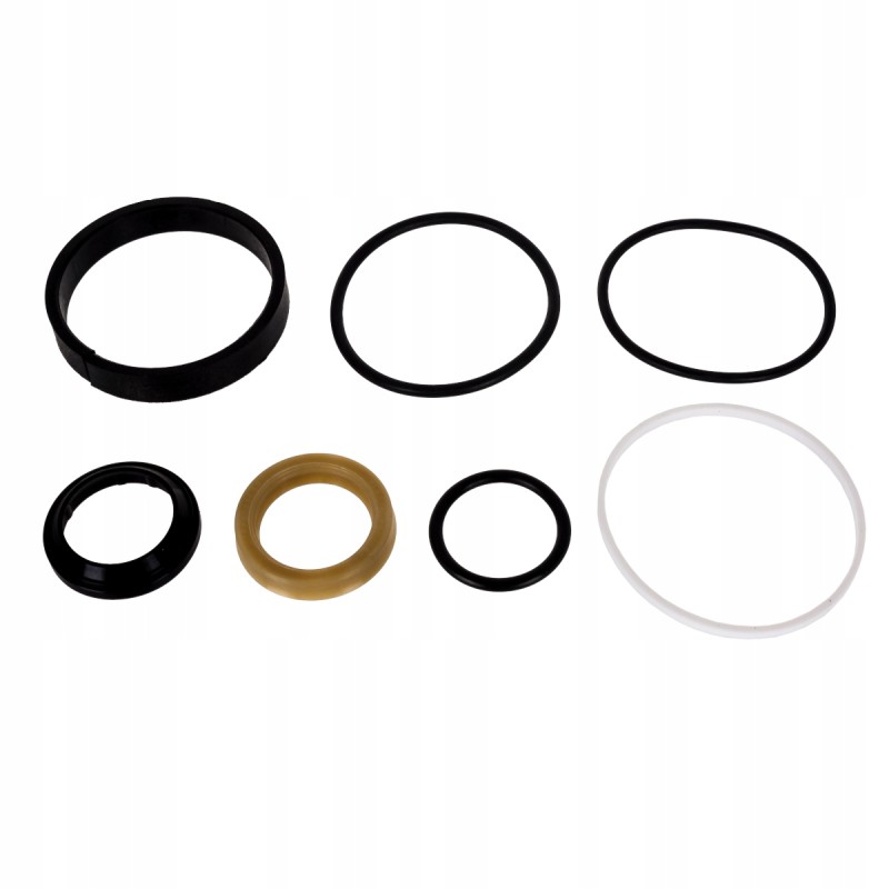 Ferguson power steering actuator seal kit