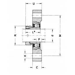 Bearing housing without insert