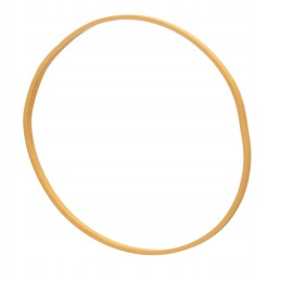 Seal ring cnh new holland 1286076c1