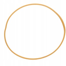 Seal ring cnh new holland 1286076c1