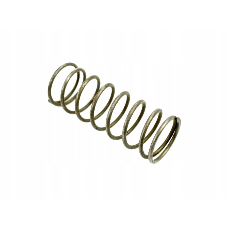 Valve axle spring mtz 501007103