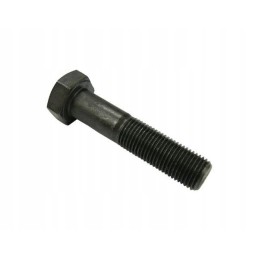 Screw 12x1 25x55 c 385 54213226
