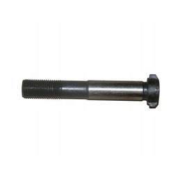 Connecting rod screw mtz 501004182a1