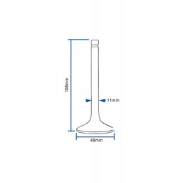 Engine head intake valve mtz no. 2401007014