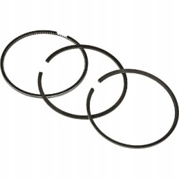 Vpb4470 piston ring set m fergosun