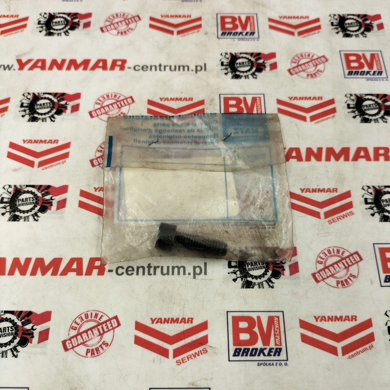 Hatz screw m 8x 25 x 25 50052100