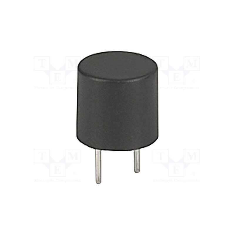 2 pcs x SCHURTER - 34.6925 - Fuse: fuse, time-lag, 10A, 250VAC, TR5, MXT