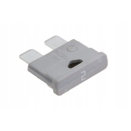 2a blade fuse 2a