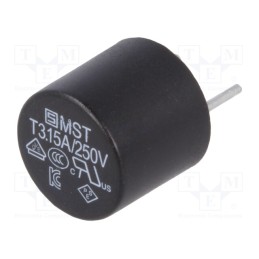 2 pcs x SCHURTER - 34.662 - Fuse: fuse, time-lag, 3.15A, 250VAC, TR5, MST