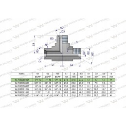 Hydraulic tee inch BBB 1 4 BSP Warynski