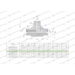 Hydraulic tee inch BBB 1 2 BSP Warynski