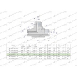 Hydraulic tee inch BBB 3 4 BSP Warynski