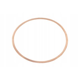 F230200210210n cylinder head gasket