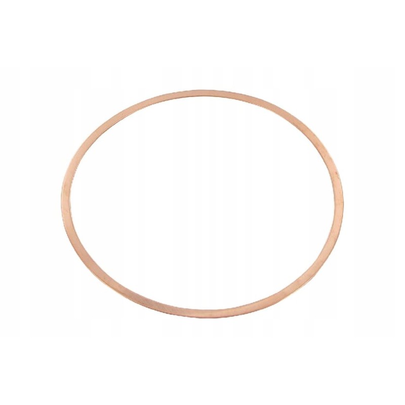 F230200210210n cylinder head gasket