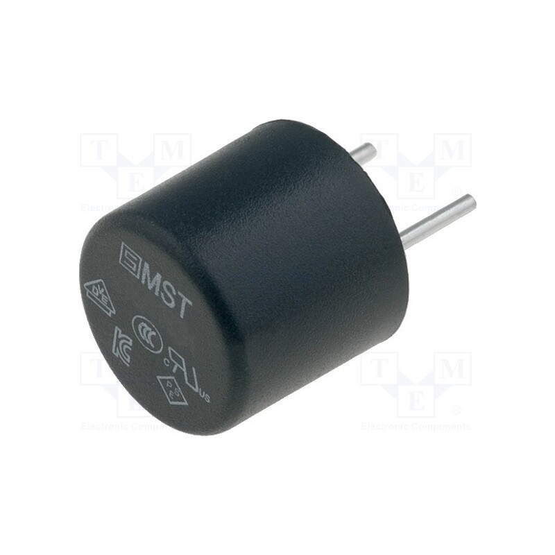 2 pcs x SCHURTER - 34.661 - Fuse: fuse, time-lag, 315mA, 250VAC, TR5, MST