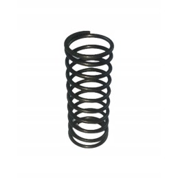 Valve spring internal c 360 50505070