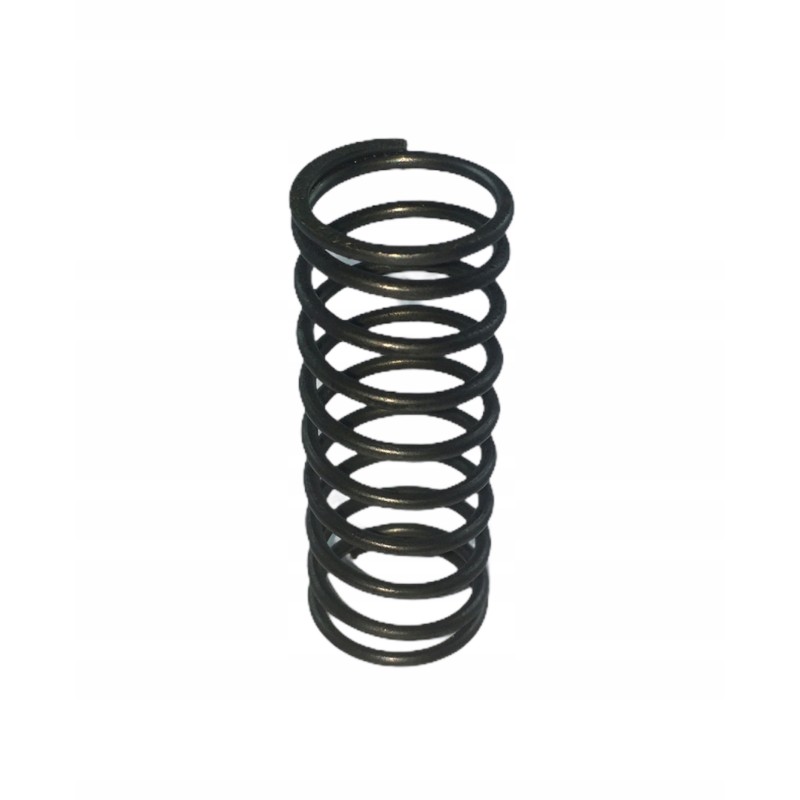 Valve spring internal c 360 50505070