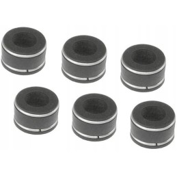 Valve gasket vpa2204