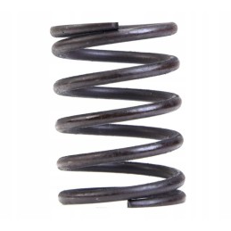 External valve spring c385 80005013 8900550