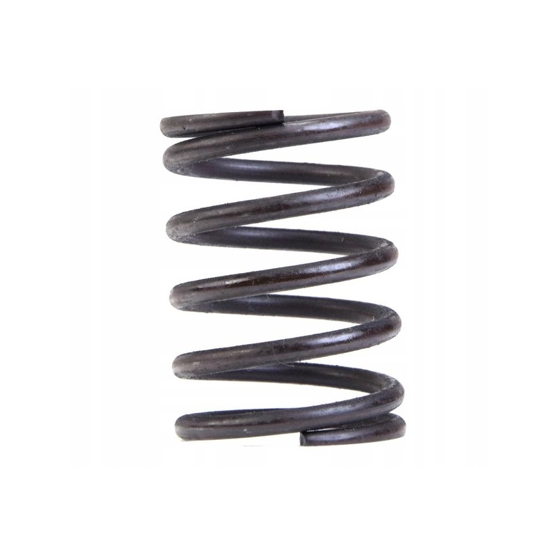 External valve spring c385 80005013 8900550