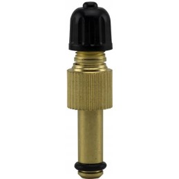 Valve insert screwed on