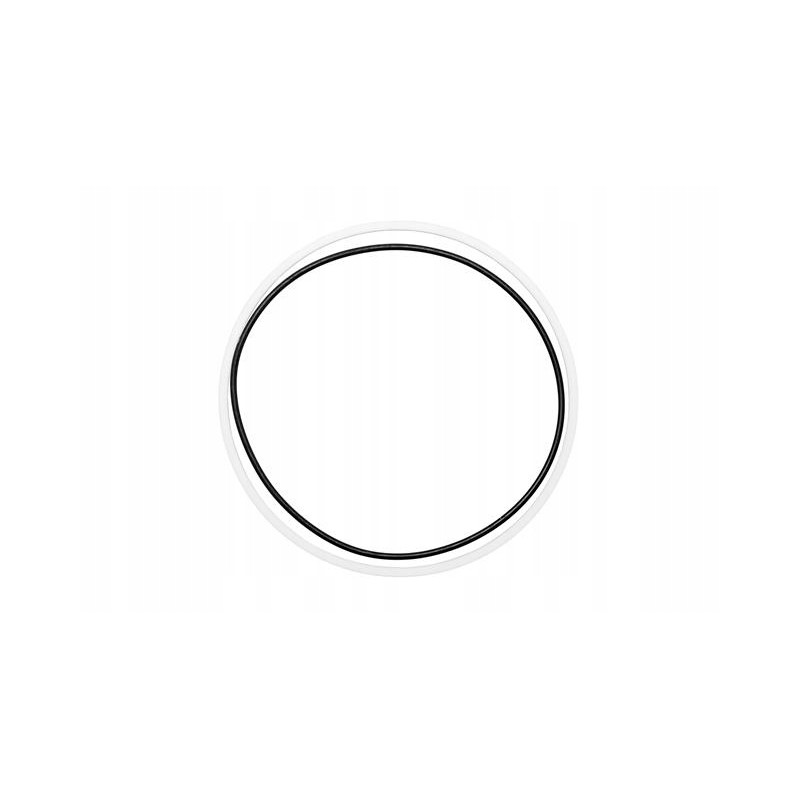 Oil seal for Terex Fermec oem machines