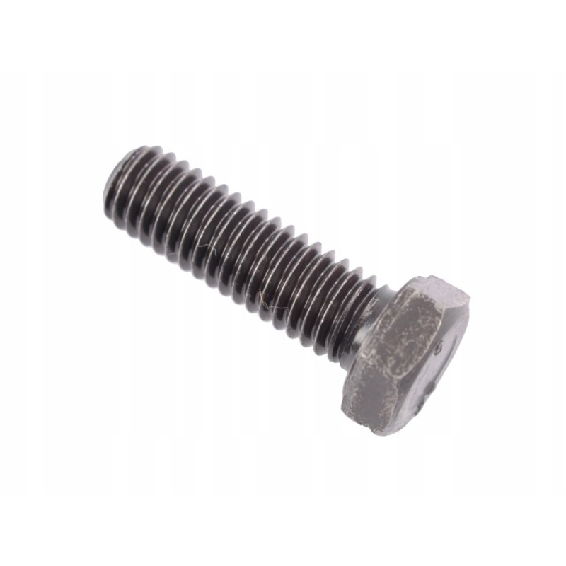 Tensioner adjustment locking screw 0748523