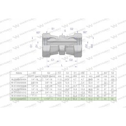 Inch hydraulic connector AA 1 1 4 BSP Warynski