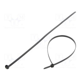250 pcs x PANDUIT - BT4LH-TL300 - Cable tie, with a metal clasp, L: 378mm, W: 7mm, polyamide, 534N