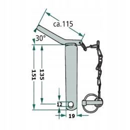 Pin pin with protection 19x135