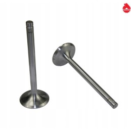 C 385, ordinary Ursus suction valve