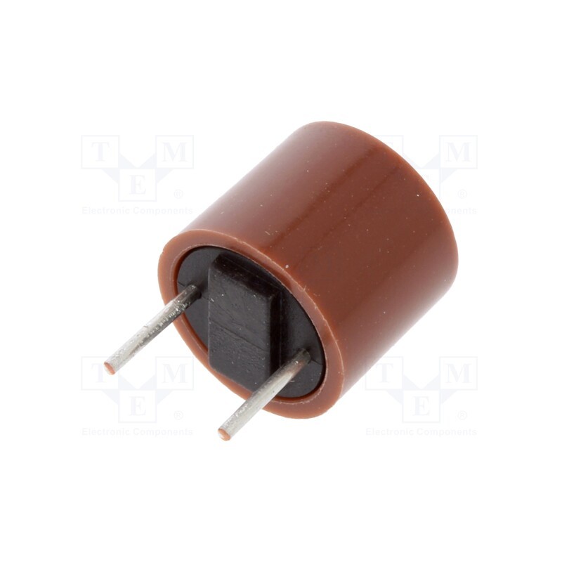2 pcs x ESKA - 887118 - Fuse: fuse, time-lag, 1.25A, 250VAC, THT, TR5, copper, 887.100, box