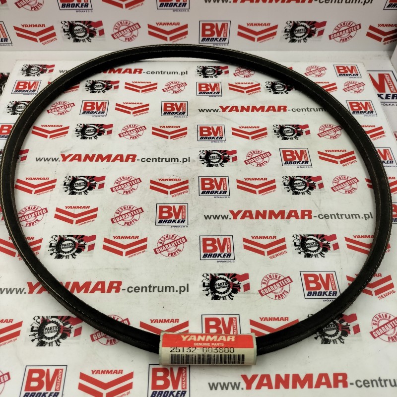 Yanmar c30r 2a V-belt