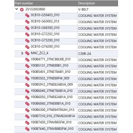 Yanmar c30r 2a V-belt