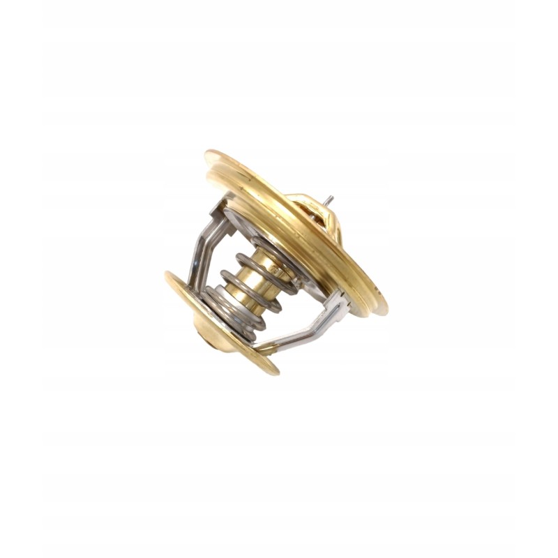 Hanomag 2872578 thermostat