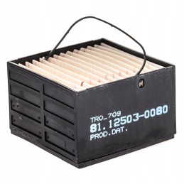 Fuel filter for erf ect man e2000 tga