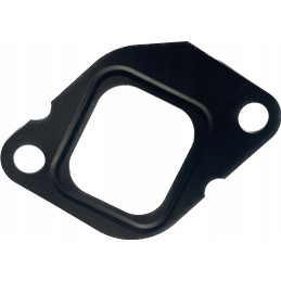 Manifold gasket zetor 19029506