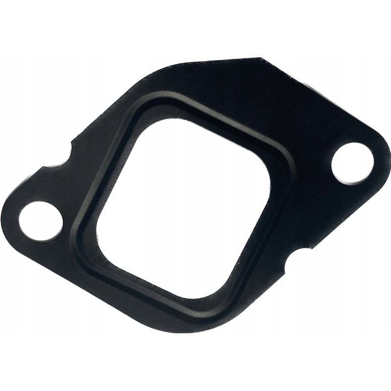 Manifold gasket zetor 19029506