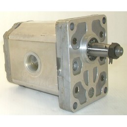 Snp2 a25l c001 f hydraulic gear pum