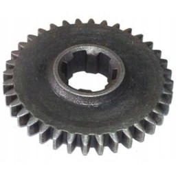 Gear wheel Wladimirec T 25 with 36