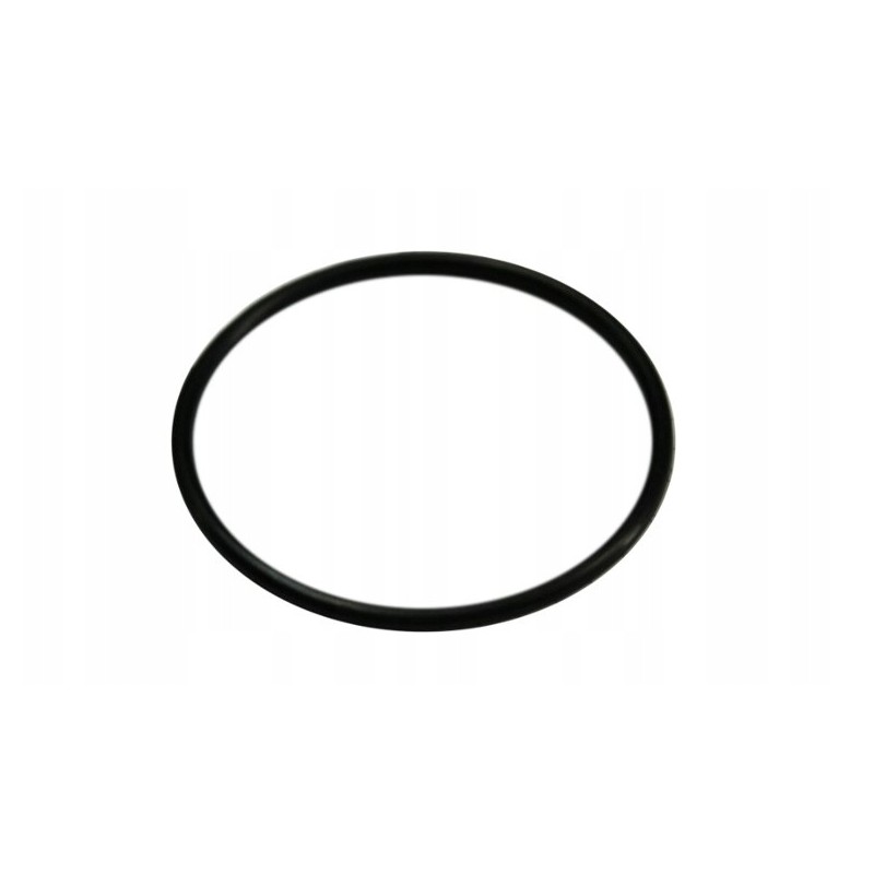 O-ring 60x2 c 385 54510523