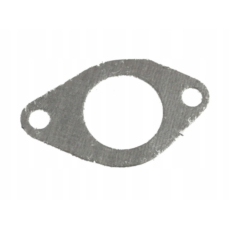 Manifold seal 1xk mtz 501008027