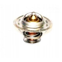 Thermostat case 98463637 87608577 5088484