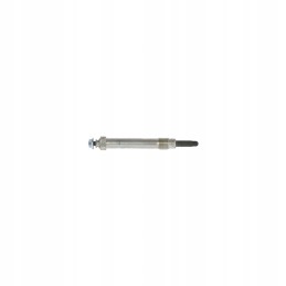 Glow plug 65778006013 agtech