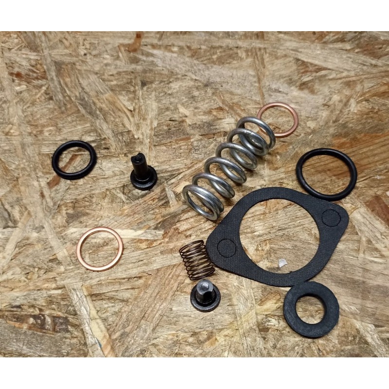Repair kit for the t 25 feed pump