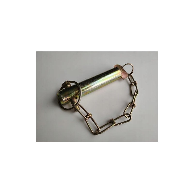 Central link pin 46650271