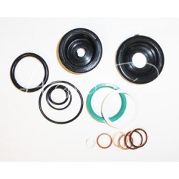 A set of seals to support the zetor servo