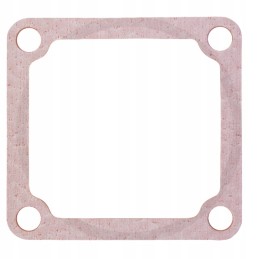 Steyr intake manifold gasket 4899921