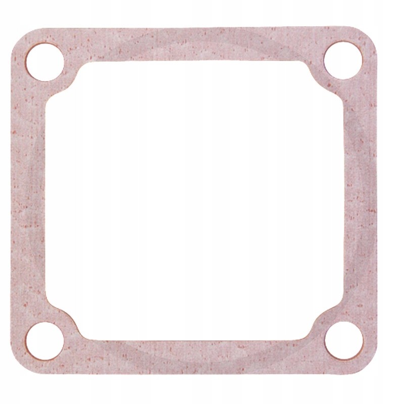 Steyr intake manifold gasket 4899921