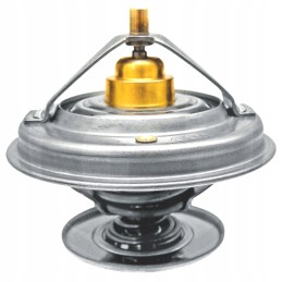 Fendt f824200050060 thermostat replacement